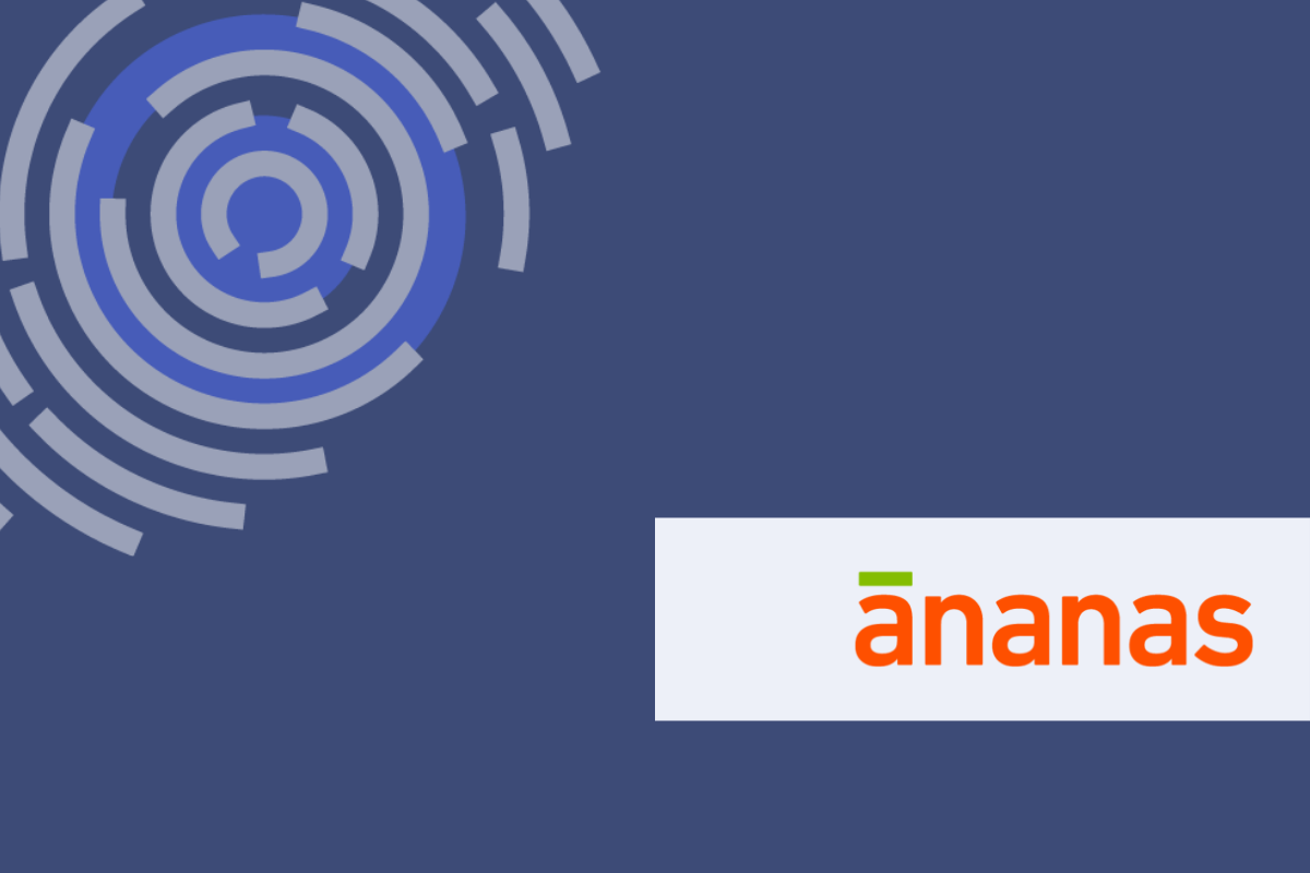 Ananas selects Blinking to power up their e-commerce platform with identity verification of their vendors